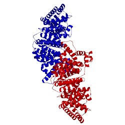 Image of CATH 5gix