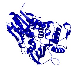 Image of CATH 5gjc