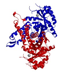 Image of CATH 5gk3