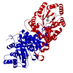 Image of CATH 5gk4