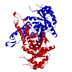 Image of CATH 5gk6