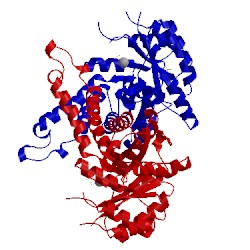 Image of CATH 5gk7