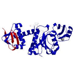 Image of CATH 5gk9