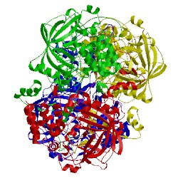 Image of CATH 5gkn