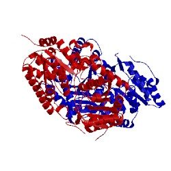 Image of CATH 5gl5