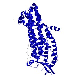 Image of CATH 5gli