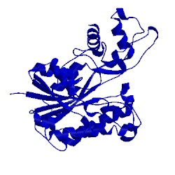 Image of CATH 5gmo
