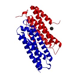 Image of CATH 5gn8