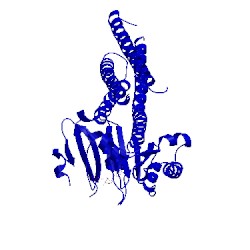 Image of CATH 5gns