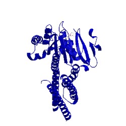 Image of CATH 5gnt