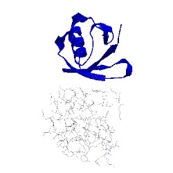 Image of CATH 5gok