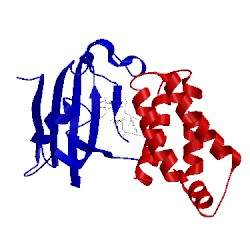 Image of CATH 5gpg