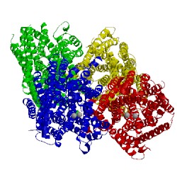 Image of CATH 5gpj