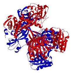 Image of CATH 5gq9