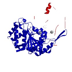 Image of CATH 5gre