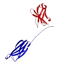 Image of CATH 5grj