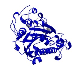 Image of CATH 5grr