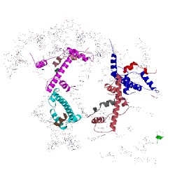 Image of CATH 5gse