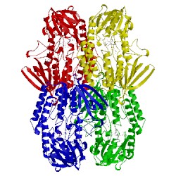 Image of CATH 5gsn