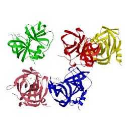 Image of CATH 5gsw