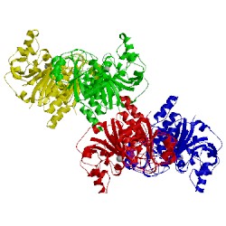 Image of CATH 5gvw