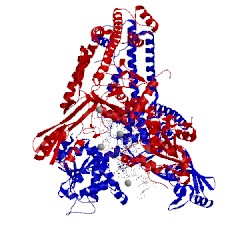 Image of CATH 5gwi