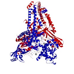 Image of CATH 5gwj