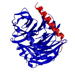 Image of CATH 5h19