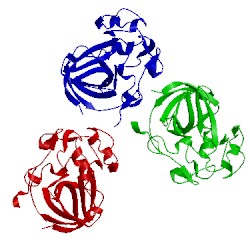 Image of CATH 5h4u