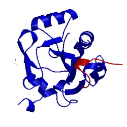 Image of CATH 5h5s