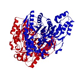 Image of CATH 5h6t