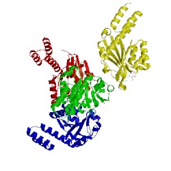 Image of CATH 5h75