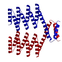 Image of CATH 5h78