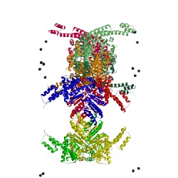 Image of CATH 5h7d