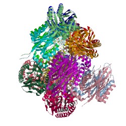 Image of CATH 5h8j