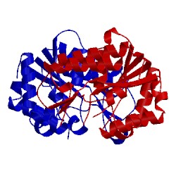 Image of CATH 5h98