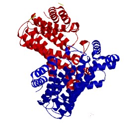 Image of CATH 5h9d