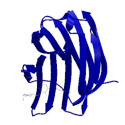 Image of CATH 5h9r