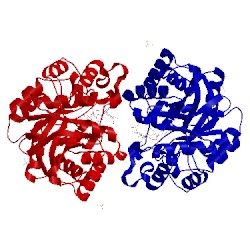 Image of CATH 5ha7