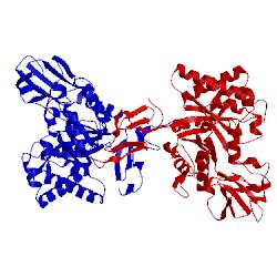 Image of CATH 5hbf