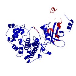 Image of CATH 5hbh