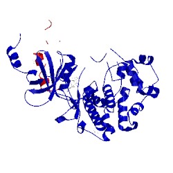 Image of CATH 5hbj