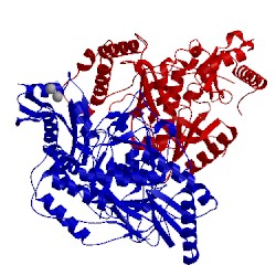 Image of CATH 5hbm