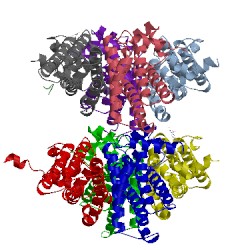 Image of CATH 5hbu