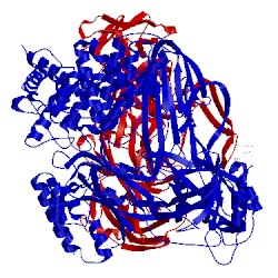 Image of CATH 5hce