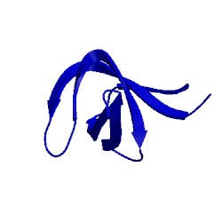 Image of CATH 5hck