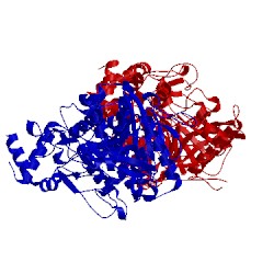 Image of CATH 5hcu