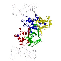 Image of CATH 5hdn