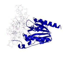 Image of CATH 5hf7