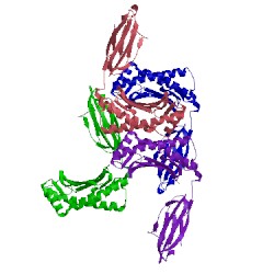 Image of CATH 5hgb